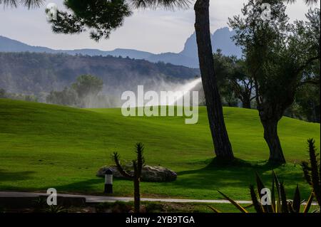 Sonnenlicht zieht durch die Bäume, während Nebel sanft den grünen Golfplatz umhüllt und eine ruhige Atmosphäre mit weit entfernten Bergen schafft, die im sichtbar sind Stockfoto