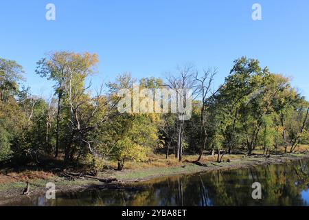 Des Plaines River bei Algonquin Woods im Herbst in des Plaines, Illinois Stockfoto