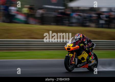 Phillip Island, Victoria, Australien. Oktober 2024. Moto2 elf Marc VDS-Fahrer TONY ARBOLINO (14) fährt während des FP1 am Freitagstag beim Qatar Airways Australian Motorcycle Grand Prix 2024 in Gardner Straight. (Kreditbild: © James Forrester/ZUMA Press Wire) NUR REDAKTIONELLE VERWENDUNG! Nicht für kommerzielle ZWECKE! Stockfoto