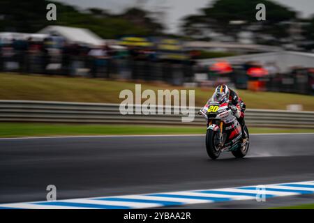 Phillip Island, Victoria, Australien. Oktober 2024. Moto2 Fantic Racing Fahrer XAVI CARDELUS (20) fährt während des FP1 am Freitagstag beim Qatar Airways Australian Motorcycle Grand Prix 2024 die Gardner Straight hinunter. (Kreditbild: © James Forrester/ZUMA Press Wire) NUR REDAKTIONELLE VERWENDUNG! Nicht für kommerzielle ZWECKE! Stockfoto