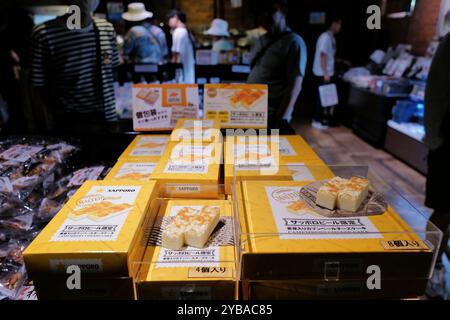 Sapporo Camembert Käsekuchen zum Verkauf im Souvenirladen des Sapporo Beer Museums.Sapporo.Hokkaido.Japan Stockfoto