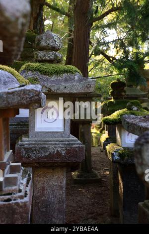 Tausende von Steinlaternen im traditionellen Stil, bedeckt mit Moos im Kasuga-Taisha-Schrein. Nara. Japan Stockfoto