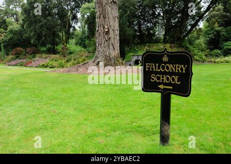 Schild mit Pfeil, der auf die Falconry School auf dem Ashford Estate nahe Ashford Castle in Cong, County Mayo, Irland, zeigt; Irlands Schule der Falconry. Stockfoto