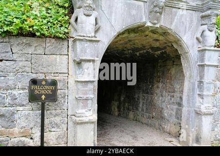 Schild mit Pfeil, der auf die Falconry School auf dem Ashford Estate nahe Ashford Castle in Cong, County Mayo, Irland, zeigt; Irlands Schule der Falconry. Stockfoto