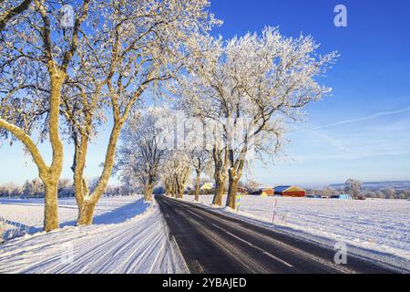 Von Bäumen gesäumte Landstraße in ländlicher Winterlandschaft mit Frost und Schnee ein sonniger Wintertag, Schweden, Europa Stockfoto