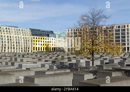 Wahrzeichen, Baum mit gelben Blättern am Rande des Holocaust-Mahnmals im Herbst, Gedenkstätte für die ermordeten Juden Europas, Berlin, Deutschland, Europa Stockfoto