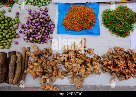 Bunte kleine grüne Paprika, kleine rote Paprika, Ingwer und andere Gewürze werden auf einem Straßenstand auf dem Morgenmarkt ausgestellt. Luang Prabnag. Laos Stockfoto