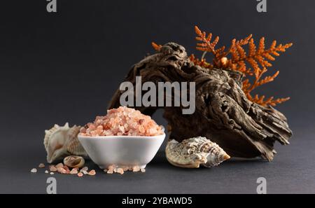 Rosafarbenes himalaya-Salz mit Schlingen, Thuja-Zweigen und Muscheln. Himalaya-Salz in weißer Schüssel auf schwarzem Hintergrund. Kopierbereich. Stockfoto