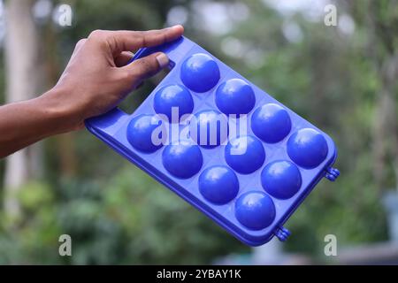 Plastikbox für Eier, um ein Dutzend Eier in der Hand zu halten. Plastikschale zur Aufbewahrung von Eiern Stockfoto