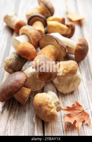 Eine Sammlung frisch geernteter Pilze liegt auf einer rustikalen Holzoberfläche, begleitet von verstreuten Herbstblättern, die eine saisonale Atmosphäre schaffen. Stockfoto