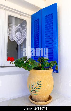 Architektonisches Detail eines Dorfhauses im griechischen Stil mit einem Fenster, blauen Fensterläden, Topfpflanzen und weißen Wänden. Stockfoto