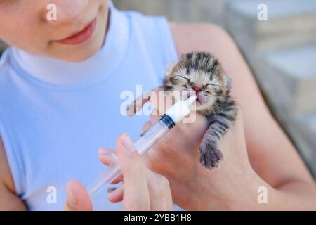 Ein neugeborenes Kätzchen trinkt Milch aus einer Spritze. Künstliche Ernährung. Stockfoto