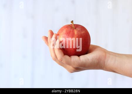 Reifer Apfel in der Hand der Frau auf hellem hölzernem Hintergrund. Nahaufnahme der Hand mit Apfel. Konzept der gesunden Ernährung, Vitamine und Ernährung. Obst. Weiße Buchse Stockfoto