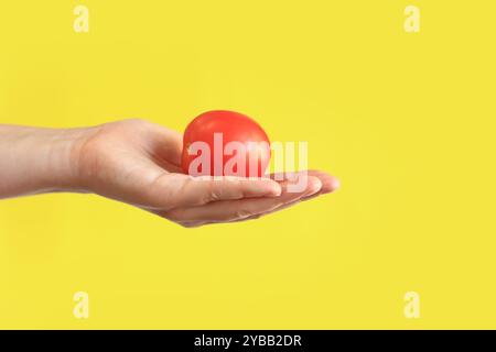 Reife rote Tomate in weiblicher Hand auf gelbem Hintergrund. Nahaufnahme einer Hand mit einer Tomate. Ernte. Gesunde Ernährung und Ernährungskonzept. Gemüse. Weiß Stockfoto