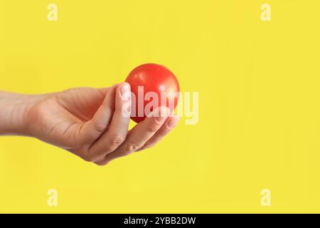 Reife rote Tomate in weiblicher Hand auf gelbem Hintergrund. Nahaufnahme einer Hand mit einer Tomate. Ernte. Gesunde Ernährung und Ernährungskonzept. Gemüse. Weiß Stockfoto