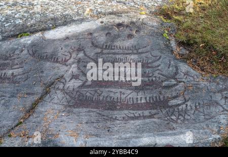 Eine archäologische Sensation wurde auf einer bronzezeitlichen Steinplatte außerhalb von Enköping entschlüsselt. Dreitausend Jahre alte Steinschnitzereien auf Hemstahällen wurden jetzt decodiert. Die Figuren, die als unverständliche Knockdown-Bilder in Form von Booten, Riesen und Tieren angesehen wurden, haben sich als vollständige Kopie und Reproduktion der Wikingersaga "Ingvar Vittfarnes Saga" erwiesen, die viel später in Island, 1000 Jahre n. Chr., aufgenommen wurde. Es ist der Archäologe und Historiker Jonathan Lindström, der in seinem neuen Buch „die älteste Geschichte der Welt“ beweist, wie alte europäische Mythen auch gewesen sind Stockfoto