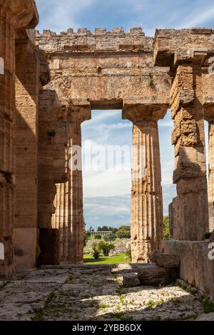 Die „Cella“ oder das innere Heiligtum des Tempels von Hera II., ein griechischer Tempel, der etwa 450 v. Chr. in Paestum, Kampanien, Italien, erbaut wurde Stockfoto