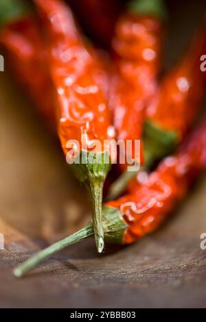 Nahaufnahme von roten Getrocknete Chilischoten Stockfoto