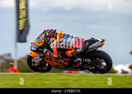 Phillip Island, Victoria, Australien. Oktober 2024. Moto2 SpeedUp Racing-Fahrer ALONSO LOPEZ (21) navigiert während des ersten Trainings am Freitag beim Qatar Airways Australian Motorcycle Grand Prix 2024 in Runde 9 Lukey Heights Upper. (Kreditbild: © James Forrester/ZUMA Press Wire) NUR REDAKTIONELLE VERWENDUNG! Nicht für kommerzielle ZWECKE! Stockfoto