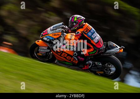 Phillip Island, Victoria, Australien. Oktober 2024. Moto2 SpeedUp Racing-Fahrer ALONSO LOPEZ (21) navigiert während des ersten Trainings am Freitag beim Qatar Airways Australian Motorcycle Grand Prix 2024 in Runde 9 Lukey Heights Upper. (Kreditbild: © James Forrester/ZUMA Press Wire) NUR REDAKTIONELLE VERWENDUNG! Nicht für kommerzielle ZWECKE! Stockfoto