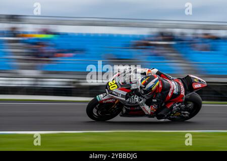 Phillip Island, Victoria, Australien. Oktober 2024. Moto2 Fantic Racing Fahrer XAVI CARDELUS (20) navigiert während des ersten Trainings am Freitag beim Grand Prix 2024 von Qatar Airways in der 9. Runde Lukey Heights Upper. (Kreditbild: © James Forrester/ZUMA Press Wire) NUR REDAKTIONELLE VERWENDUNG! Nicht für kommerzielle ZWECKE! Stockfoto