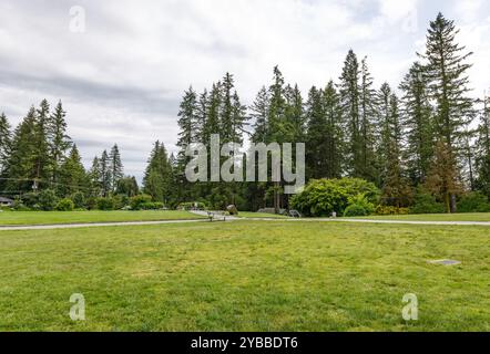 Ein malerischer Blick auf den Capilano River Regional Park mit üppigen Wäldern, schneebedeckten Bergen und einem klaren Pfad, der zum Stausee führt, ist perfekt für Ausflüge Stockfoto