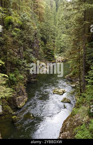 Ein malerischer Blick auf den Capilano River, der durch den üppig bewaldeten Canyon in der Nähe des Cleveland Dam in North Vancouver fließt Stockfoto