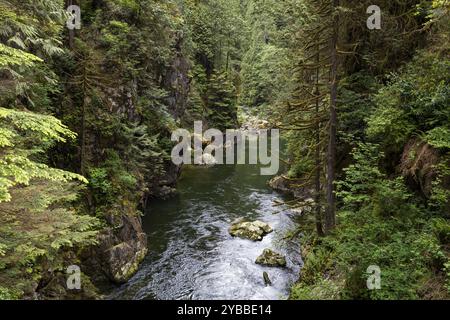 Ein malerischer Blick auf den Capilano River, der durch den üppig bewaldeten Canyon in der Nähe des Cleveland Dam in North Vancouver fließt Stockfoto