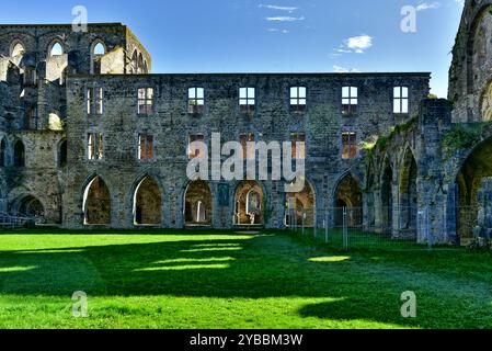 Überreste der Klostermauer in der verlassenen Villers Abbey, die 1146 gegründet wurde. Villers-la-Ville, Belgien. Stockfoto