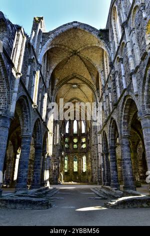 Reste der Kirche in der verlassenen Villers Abbey, gegründet 1146. Villers-la-Ville, Belgien. Stockfoto