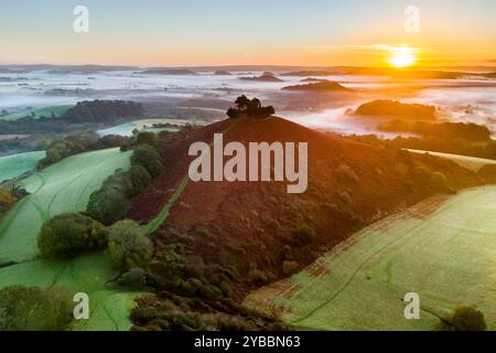 Symondsbury, Dorset, Großbritannien. Oktober 2024. Wetter in Großbritannien. Am frühen Morgen Nebel hinter Colmers Hill in Symondsbury nahe Bridport in Dorset bei Sonnenaufgang an einem kalten sonnigen Morgen. Bildnachweis: Graham Hunt/Alamy Live News Stockfoto