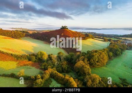 Symondsbury, Dorset, Großbritannien. Oktober 2024. Wetter in Großbritannien. Die Bracken und Bäume sind in ihren vollen Herbstfarben am Colmers Hill in Symondsbury nahe Bridport in Dorset kurz nach Sonnenaufgang an einem kalten, nebeligen sonnigen Morgen. Bildnachweis: Graham Hunt/Alamy Live News Stockfoto