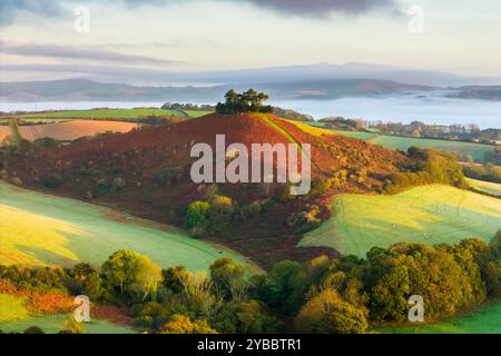 Symondsbury, Dorset, Großbritannien. Oktober 2024. Wetter in Großbritannien. Die Bracken und Bäume sind in ihren vollen Herbstfarben am Colmers Hill in Symondsbury nahe Bridport in Dorset kurz nach Sonnenaufgang an einem kalten, nebeligen sonnigen Morgen. Bildnachweis: Graham Hunt/Alamy Live News Stockfoto