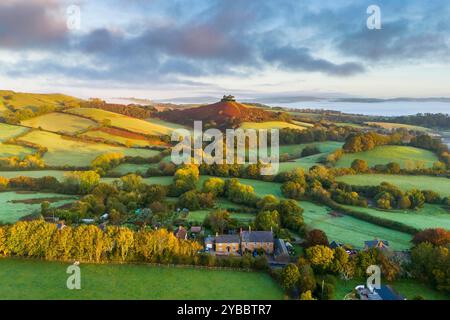 Symondsbury, Dorset, Großbritannien. Oktober 2024. Wetter in Großbritannien. Die Bracken und Bäume sind in ihren vollen Herbstfarben am Colmers Hill in Symondsbury nahe Bridport in Dorset kurz nach Sonnenaufgang an einem kalten, nebeligen sonnigen Morgen. Bildnachweis: Graham Hunt/Alamy Live News Stockfoto