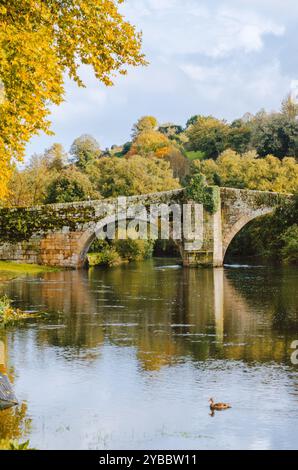 Mittelalterliche Steinbrücke über den Fluss Arnoia in Allariz im Herbst. Galicien Stockfoto