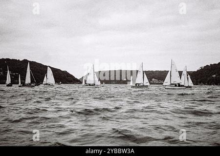Segelregatta, Salcombe, Devon, England, Großbritannien. Stockfoto