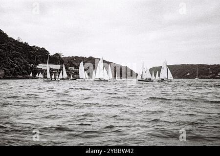 Segelregatta, Salcombe, Devon, England, Großbritannien. Stockfoto