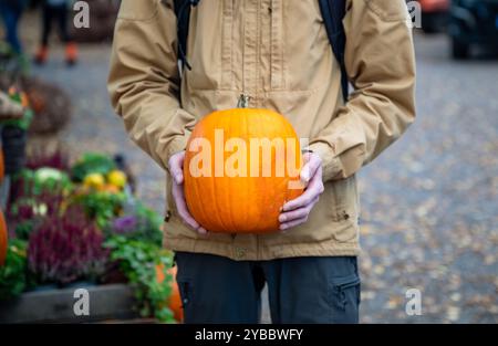 Der Mann hält einen großen Kürbis in den Händen Stockfoto