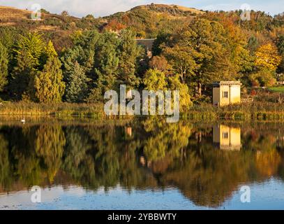 Duddingston Loch, Edinburgh, Schottland. 18. Oktober 2024. Temperatur leicht 11 Grad Celsius. Im Bild: Duddingston Loch und rechts der Thomson's Tower, ein einzigartiges achteckiges Gebäude, entworfen von William Henry Playfair (1789–1857), dem berühmten Architekten von Edinburgh, und gebaut von der Duddingston Curling Society, deren Mitglieder zuerst die Regeln des Curling niederschrieben, was zur Standardisierung des Spiels im ganzen Land führte. Der Tower war ein Eisstockhaus für die Gesellschaft. Fotograf: Archwhite/ Alamy Live News. Stockfoto