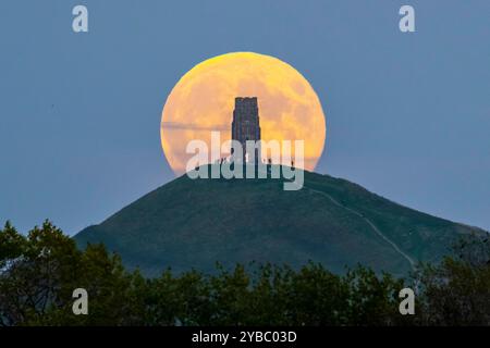 Glastonbury, Somerset, Großbritannien. Oktober 2024. Wetter in Großbritannien. Der volle Supermond der Hunters schwingt den St Michael’s Tower am Glastonbury Tor in Somerset, während er sich hinter dem Wahrzeichen erhebt, während sich eine Menschenmenge auf dem Hügel versammelt, um zu beobachten. Bildnachweis: Graham Hunt/Alamy Live News Stockfoto