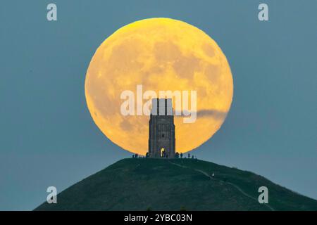 Glastonbury, Somerset, Großbritannien. Oktober 2024. Wetter in Großbritannien. Der volle Supermond der Hunters schwingt den St Michael’s Tower am Glastonbury Tor in Somerset, während er sich hinter dem Wahrzeichen erhebt, während sich eine Menschenmenge auf dem Hügel versammelt, um zu beobachten. Bildnachweis: Graham Hunt/Alamy Live News Stockfoto