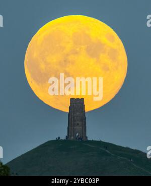 Glastonbury, Somerset, Großbritannien. Oktober 2024. Wetter in Großbritannien. Der volle Supermond der Hunters schwingt den St Michael’s Tower am Glastonbury Tor in Somerset, während er sich hinter dem Wahrzeichen erhebt, während sich eine Menschenmenge auf dem Hügel versammelt, um zu beobachten. Bildnachweis: Graham Hunt/Alamy Live News Stockfoto