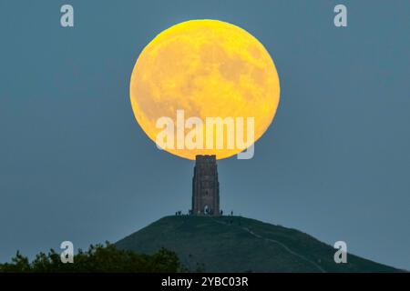 Glastonbury, Somerset, Großbritannien. Oktober 2024. Wetter in Großbritannien. Der volle Supermond der Hunters schwingt den St Michael’s Tower am Glastonbury Tor in Somerset, während er sich hinter dem Wahrzeichen erhebt, während sich eine Menschenmenge auf dem Hügel versammelt, um zu beobachten. Bildnachweis: Graham Hunt/Alamy Live News Stockfoto