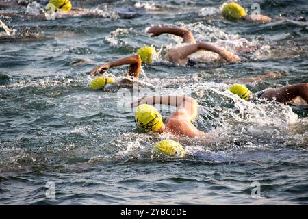 Triathleten schwimmen im offenen Wasser, tragen gelbe Badekappen Stockfoto