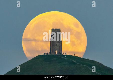 Glastonbury, Somerset, Großbritannien. Oktober 2024. Wetter in Großbritannien. Der volle Supermond der Hunters schwingt den St Michael’s Tower am Glastonbury Tor in Somerset, während er sich hinter dem Wahrzeichen erhebt, während sich eine Menschenmenge auf dem Hügel versammelt, um zu beobachten. Bildnachweis: Graham Hunt/Alamy Live News Stockfoto