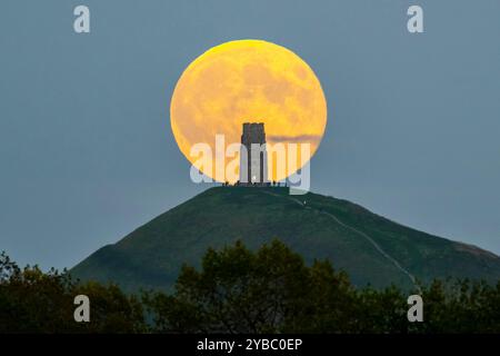 Glastonbury, Somerset, Großbritannien. Oktober 2024. Wetter in Großbritannien. Der volle Supermond der Hunters schwingt den St Michael’s Tower am Glastonbury Tor in Somerset, während er sich hinter dem Wahrzeichen erhebt, während sich eine Menschenmenge auf dem Hügel versammelt, um zu beobachten. Bildnachweis: Graham Hunt/Alamy Live News Stockfoto