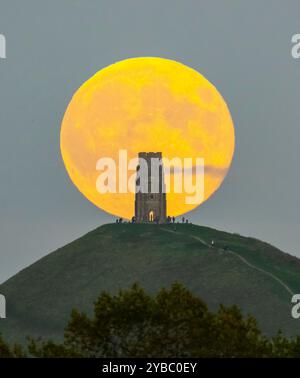 Glastonbury, Somerset, Großbritannien. Oktober 2024. Wetter in Großbritannien. Der volle Supermond der Hunters schwingt den St Michael’s Tower am Glastonbury Tor in Somerset, während er sich hinter dem Wahrzeichen erhebt, während sich eine Menschenmenge auf dem Hügel versammelt, um zu beobachten. Bildnachweis: Graham Hunt/Alamy Live News Stockfoto