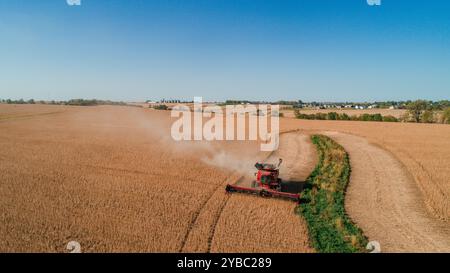 Der Mähdrescher arbeitet am Rand eines Feldes und erzeugt Staub Stockfoto