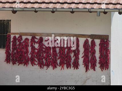 Gestickte rote Paprika: Eine mazedonische Tradition Stockfoto