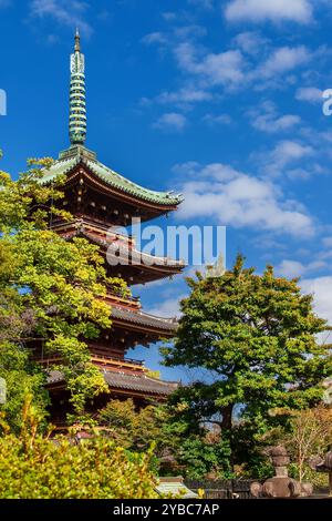 Fünfstöckige Pagode von Kan’ei-JI, neben dem Tosho-gu-Schrein im Tokyo Ueno Park Stockfoto